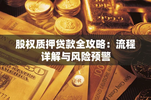 北京股权质押贷款全攻略：流程详解与风险预警