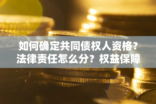 北京如何确定共同债权人资格？法律责任怎么分？权益保障技巧揭秘！
