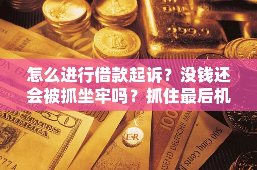 北京怎么进行借款起诉？没钱还会被抓坐牢吗？抓住最后机会！
