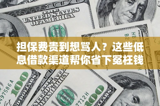 北京担保费贵到想骂人？这些低息借款渠道帮你省下冤枉钱