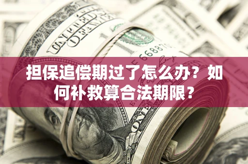 北京担保追偿期过了怎么办？如何补救算合法期限？