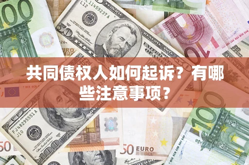 北京共同债权人如何起诉？有哪些注意事项？