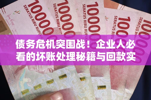 北京债务危机突围战！企业人必看的坏账处理秘籍与回款实战指南